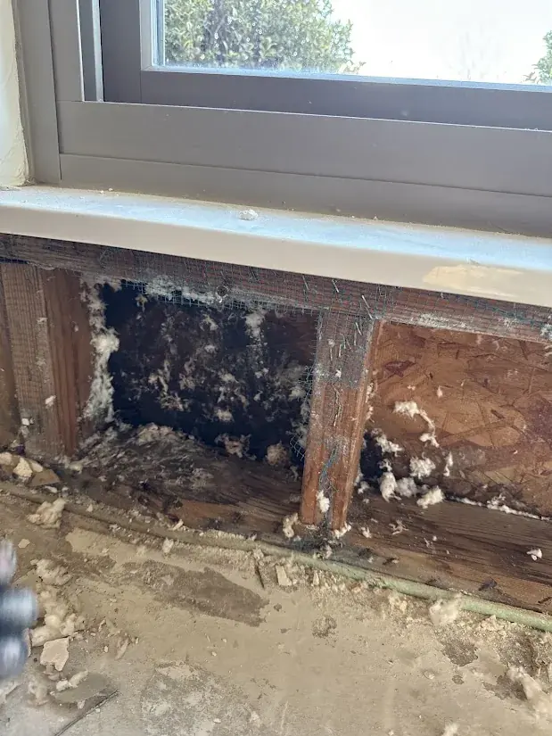 Water damaged wall detail in an Oklahoma City home